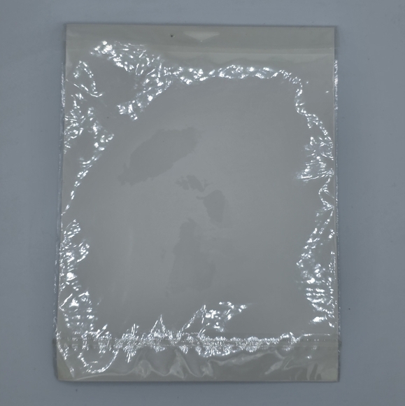 2006 WWE CM Punk Photofile Promo Print RARE - Picture 5 of 6